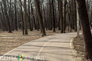 Пензенцев приглашают поучаствовать в «Зеленом марафоне»