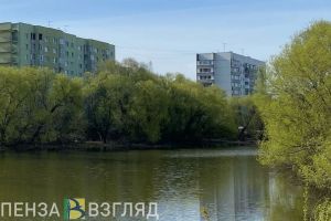 Пензенцам назвали водоемы, в которых запрещено купаться