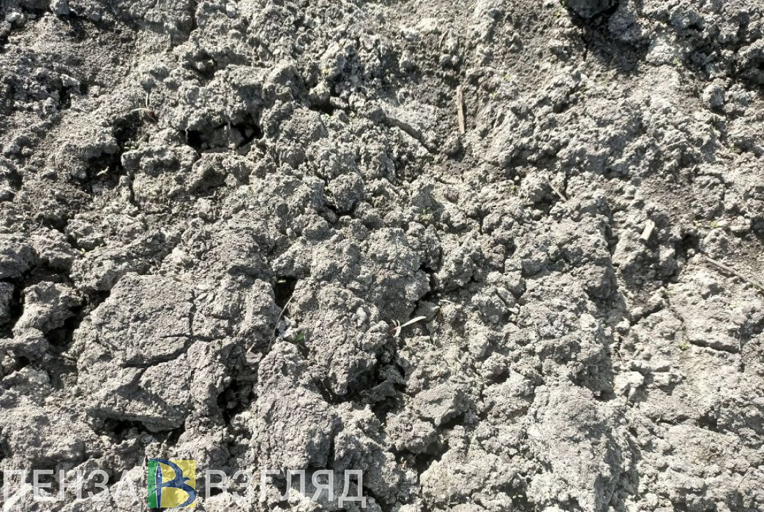 Пензенским аграриям полагаются субсидии за ввод земли в оборот