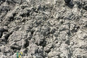 Пензенским аграриям полагаются субсидии за ввод земли в оборот