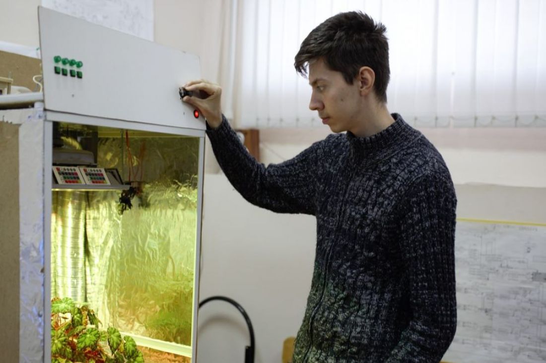 В ПГУ разработали уникальную теплицу