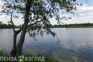 Стало известно, когда в Пензе закончат очищать пруд возле 6-й горбольницы