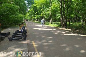 Олимпийскую аллею в Пензе закроют для посещения в 7 утра 23 мая