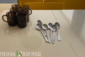 В школе Пензенской области заметили нехватку в меню необходимых детям продуктов