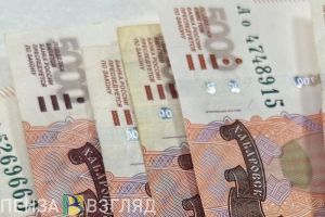 Стоимость обучения в вузах для детей пензенских участников СВО могут снизить
