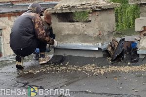 В школе Сердобского района отчаялись залатать текущую во время дождей крышу