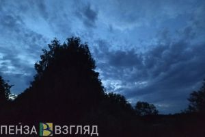 Двое пропавших мужчин, пожар и День пограничника - новости Пензы и области за 28 мая