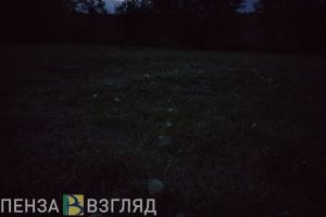 Найденный мужчина, отключение воды и смертельное ДТП - новости Пензы и области за 29 мая