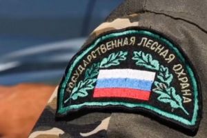 Олег Мельниченко поздравил работников лесного хозяйства с профессиональным праздником