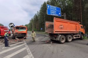 Водителей столкнувшихся на выезде из Пензы «КамАЗов» госпитализировали