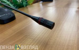В пензенском Заксобрании будут отключать микрофон за длинные выступления
