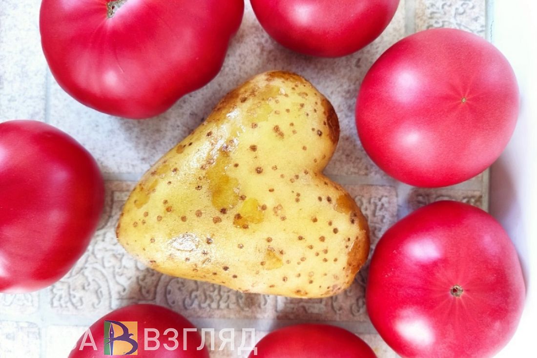 Пензастат озвучил индекс потребительских цен за январь-апрель 2023 года