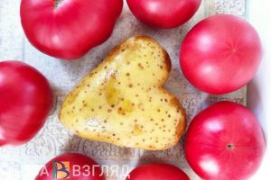 Пензастат озвучил индекс потребительских цен за январь-апрель 2023 года