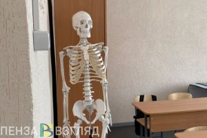 В пензенских школах с 1 сентября могут появиться уроки профориентации