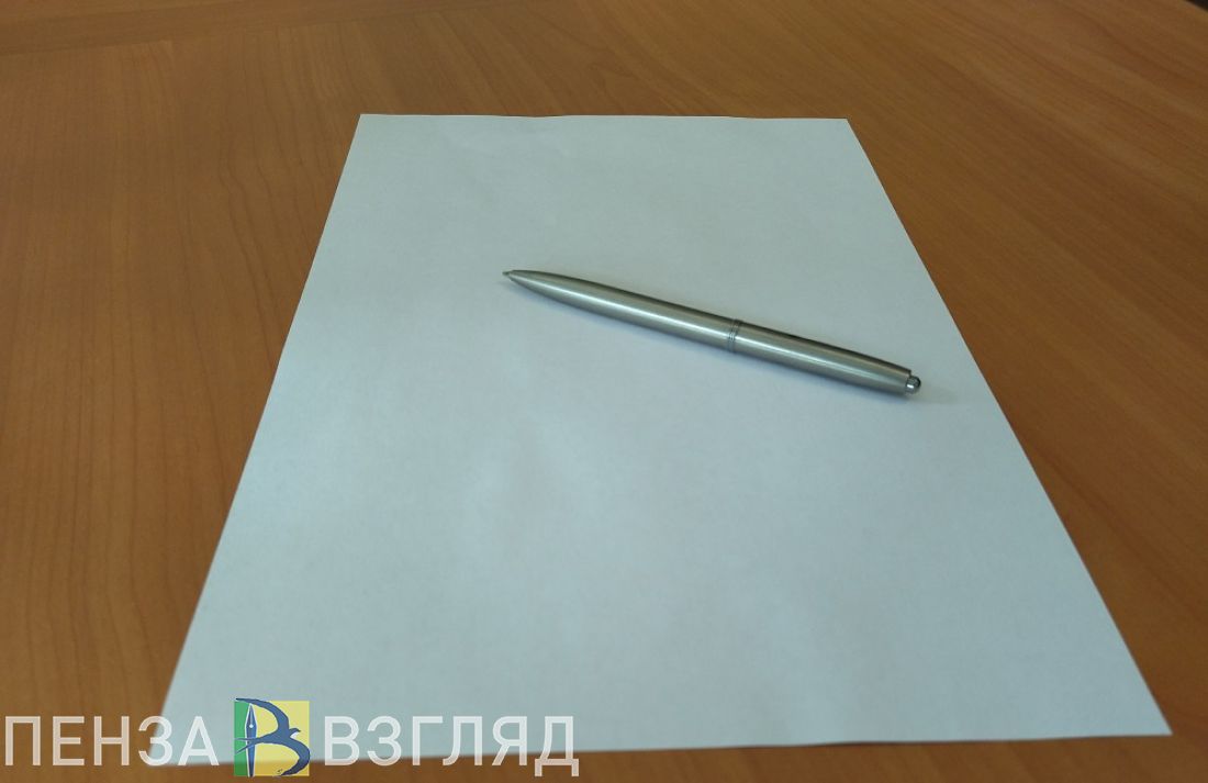 Руководитель ООО «СПХ «Каменское» прокомментировала планы по строительству маслоэкстракционного завода