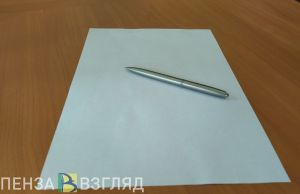 Руководитель ООО «СПХ «Каменское» прокомментировала планы по строительству маслоэкстракционного завода
