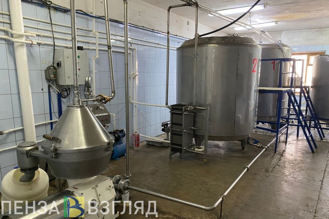 За год пензенским бизнесменам предоставили кредитные каникулы по 600 договорам