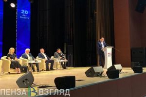 В Пензенской области школьников будут учить приемам из самбо на уроках физкультуры