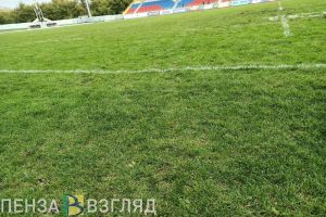 Стадион «Пенза» отремонтируют для тренировок регбистов