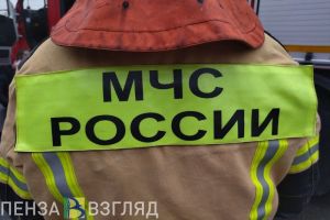 Пожар на 5-м Виноградном проезде в Пензе тушили 12 человек