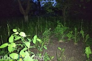 Пропавшие жители, смертельная авария и ухудшение погодных условий - новости Пензы и области за 23 июня