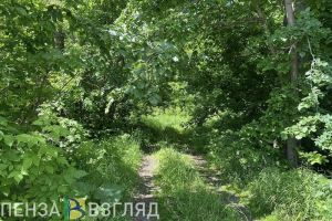 В Пензенской области занимаются поисками еще одного пропавшего мужчины