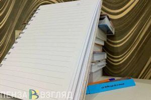 Пензенцы узнали о качестве российского начального образования в школах