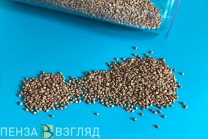 В Пензенской области за месяц на 19,7% подешевела гречневая крупа