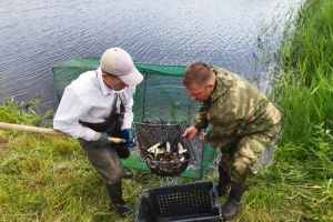 За год в Сердобском районе произвели 147 тонн рыбы