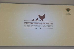 Калентьев принял участие в совещании, посвященном бройлерному птицеводству