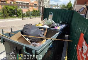 В Пензе заметили лежащего в мусорном контейнере мужчину