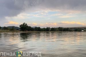 Утопленник на ГПЗ, авария с 3 машинами, мертвая рыба на Безымянном ручье: новости Пензы и области за 4 июля