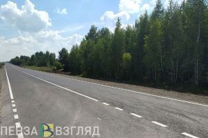 Ограничение движения по проезду Баумана, увеличение числа заболевших корью, ДТП с коровами: новости Пензы и области за 5 июля
