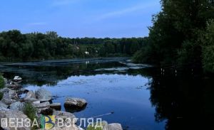 В Спасске в водоеме нашли тело 52-летнего мужчины
