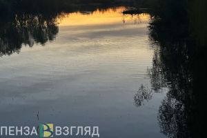 Кузнечанам рассказали, почему был спущен Долгушенский пруд