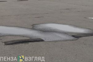 В Пензе девушки искупались в луже на парковке