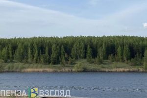 Пензенцы узнали, как дорого им обойдется отпуск в этом году