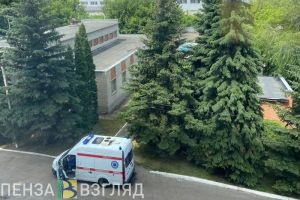 Смертельный пожар в Сердобске, находка пензенских археологов, ситуация по кори – новости Пензы и области за 15 июля