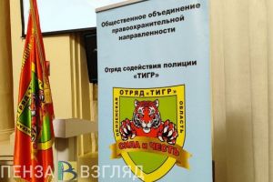 За полгода пензенские бойцы отряда «Тигр» пресекли 16 преступлений