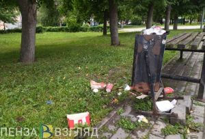Месячник по благоустройству, назначение глав районов и ДТП с ребенком: новости Пензы и области за 19 июля