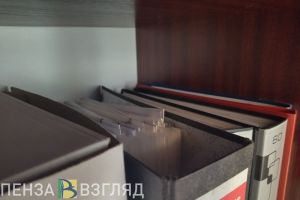 Зампред Счетной палаты Пензенской области подала заявление об отставке