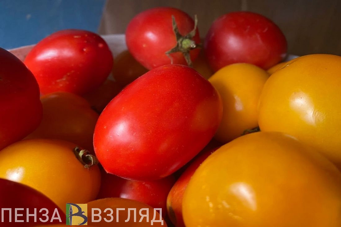 За месяц в Пензенской области цены на помидоры снизились на 27,7%