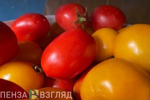 За месяц в Пензенской области цены на помидоры снизились на 27,7%