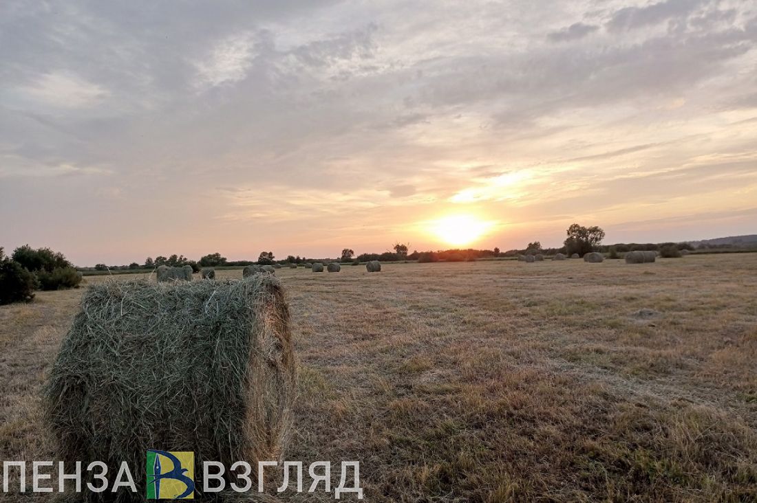 В Каменском районе перевыполнили план по заготовке сена