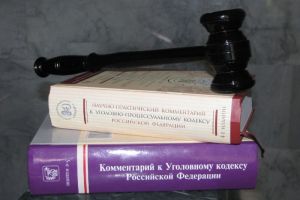 В Пензенской области вынесен приговор экс-должностному лицу, присвоившему 4 земельных участка