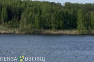 Следователи устанавливают обстоятельства смерти несовершеннолетнего в селе Засечное