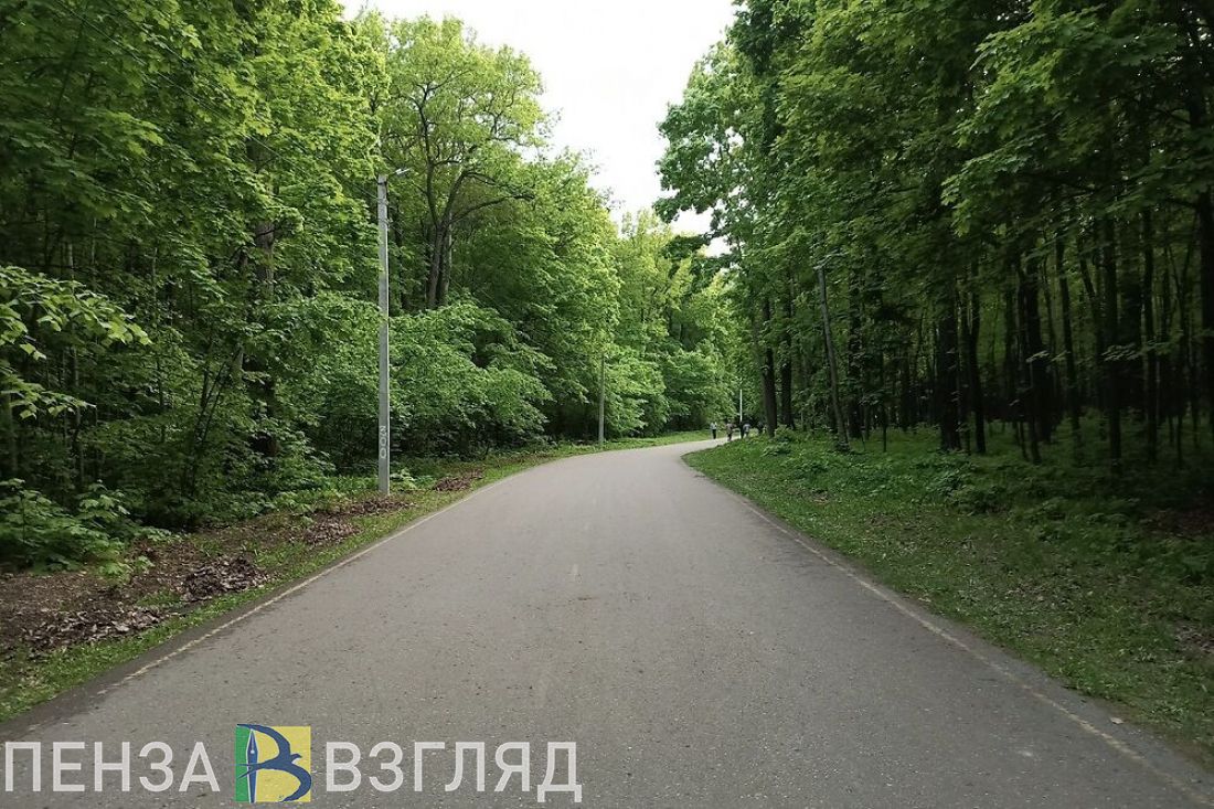 На лыжной базе «Снежинка» в Пензенской области хотят проложить лыжероллерную трассу