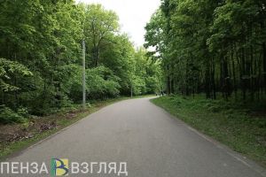 На лыжной базе «Снежинка» в Пензенской области хотят проложить лыжероллерную трассу