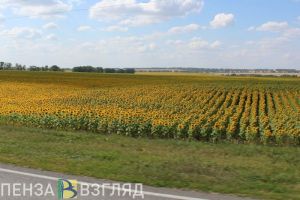 6 августа пензенцев вновь ожидает жаркая погода