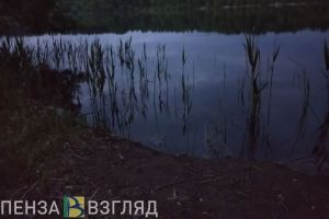Массовая гибель рыбы, новые повестки, «Локомотив» победил - новости Пензы и области за 6 августа